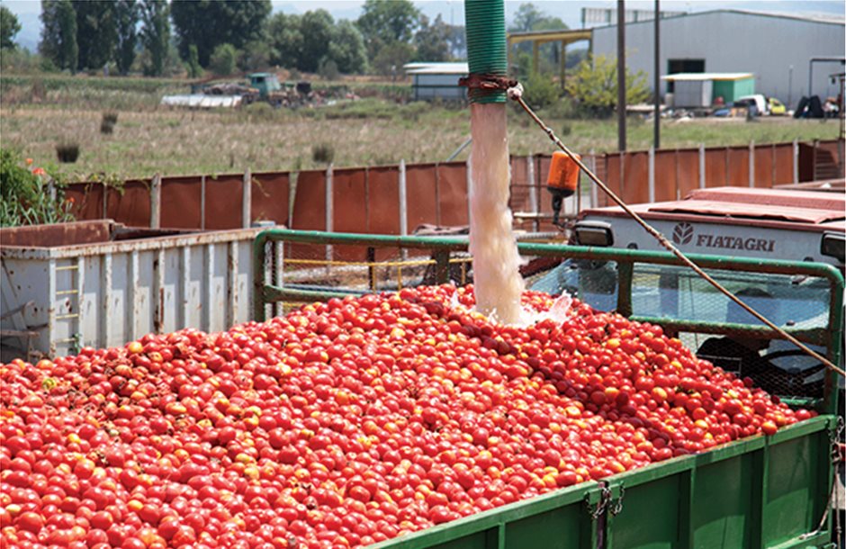 Στο ζύγι να σφίξουν τα χέρια παραγωγοί και μεταποίηση ζητά η βιομηχανική ντομάτα